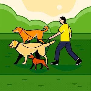 Meet your Posher, Monika daniela